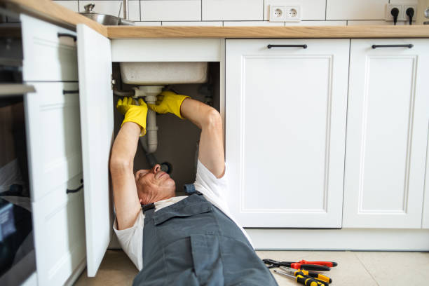 Best Plumbing Inspection Services  in Beale Af, CA